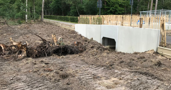 Herpetotunnel voor amfibiën, slangen en reptielen